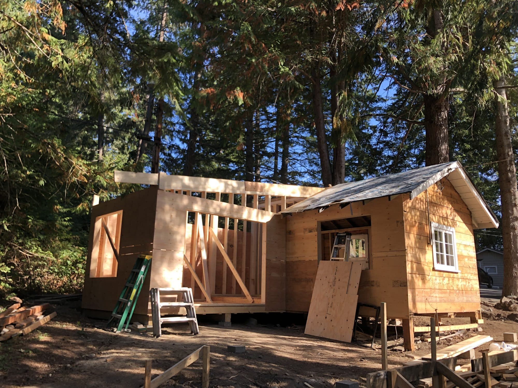 Cabin 1 — photo 8