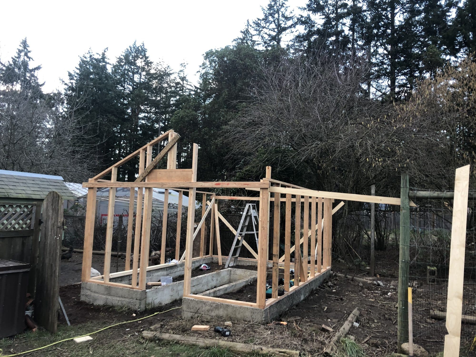 The Greenhouse — photo 4