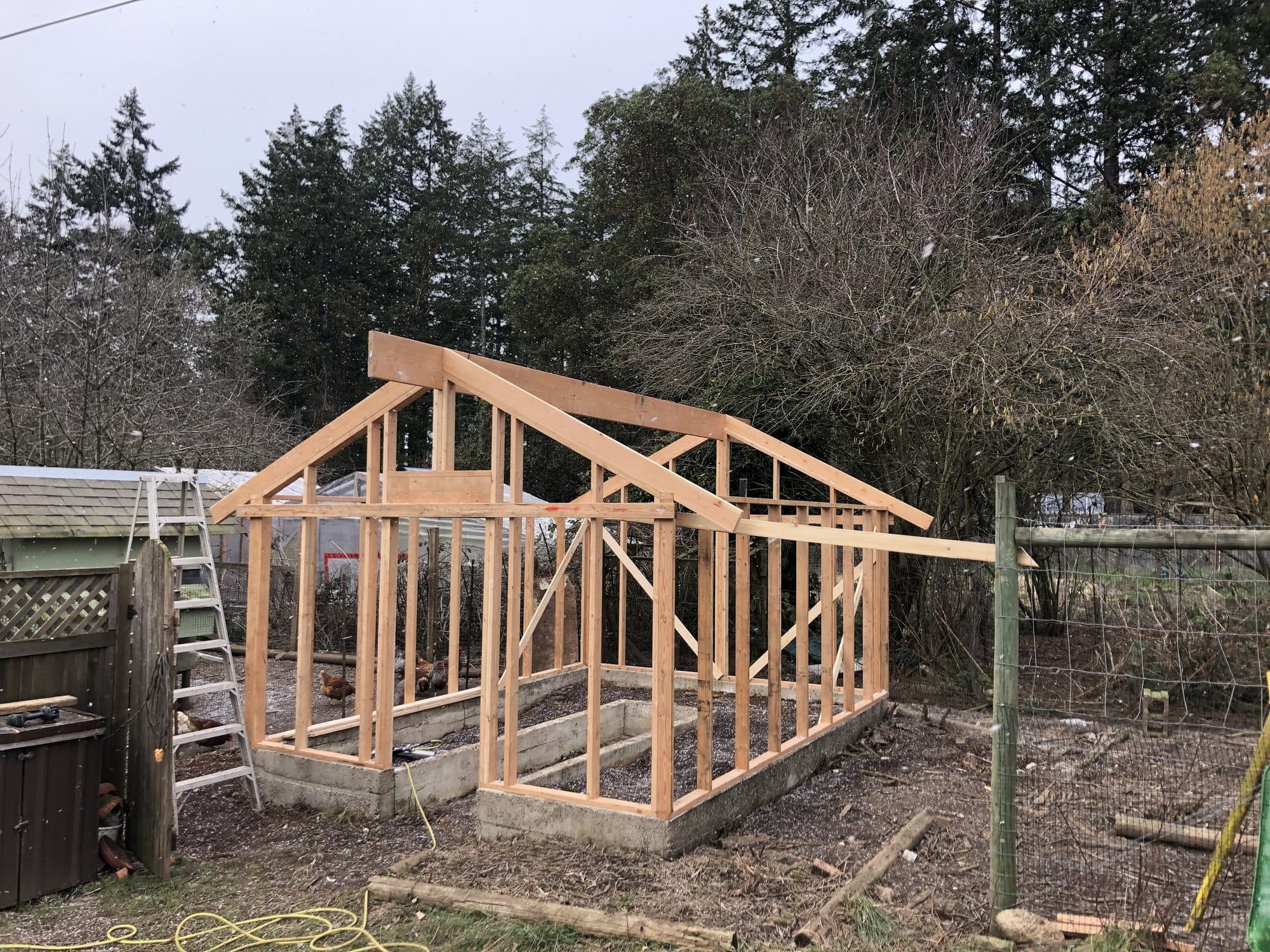 The Greenhouse — photo 5