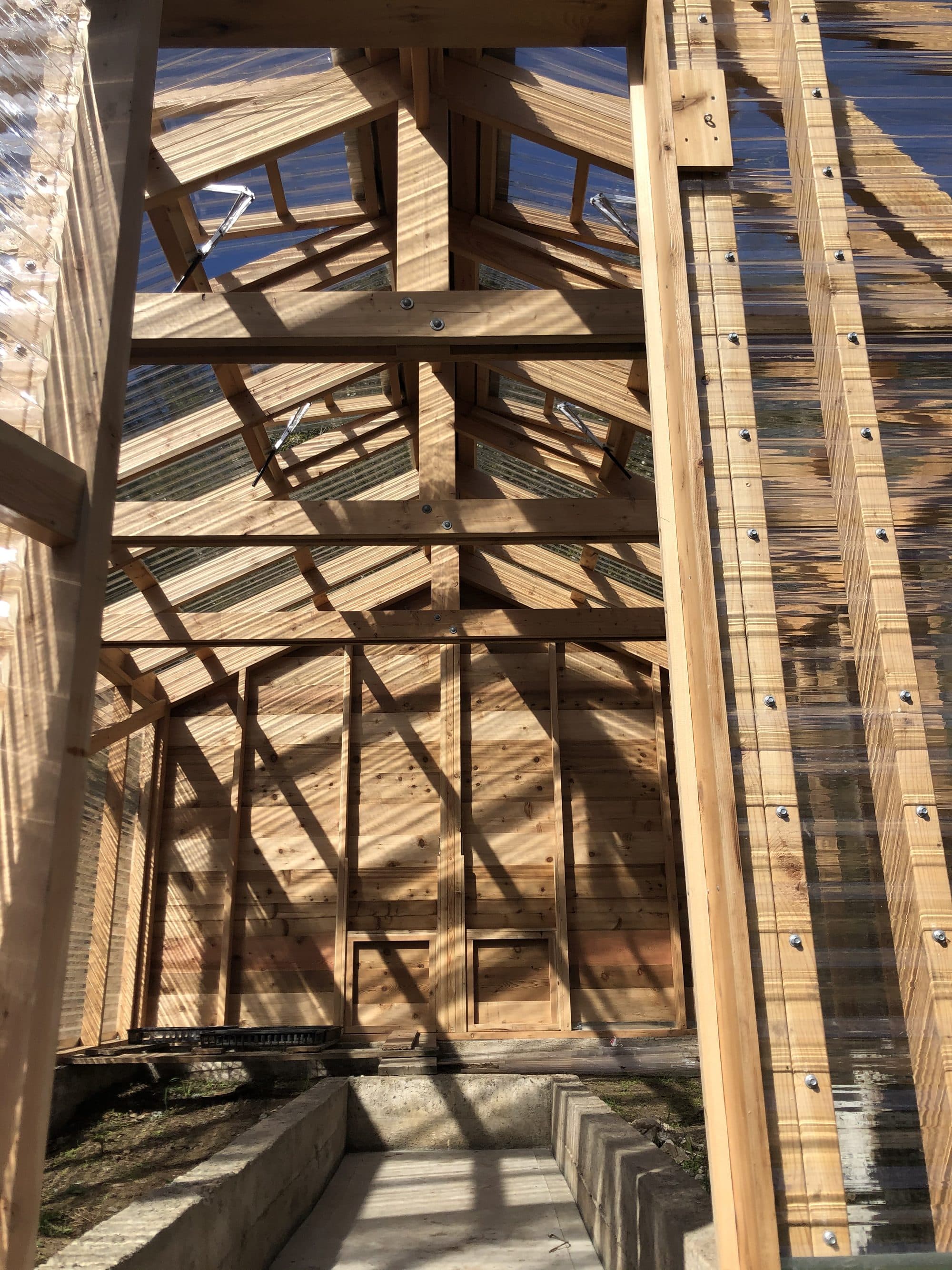 The Greenhouse — photo 9